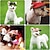 Χαμηλού Κόστους Ρούχα για σκύλους-Γάτα Σκύλος Φούτερ με Κουκούλα Μπαντάνες &amp; Καπέλα Αθλητικό καπέλο καμουφλάζ Αθλήματα Ρούχα για σκύλους Ρούχα κουταβιών Στολές για σκύλους Χρώμα Παραλλαγής Ριγέ Κόκκινο / Άσπρο Στολές