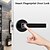 cheap Door Locks-WAFU Wireless Security Electronic Smart Invisible Fingerprint Lock Indoor Fingerprint Door Lock Door Handle Lock for Office Home Hotel Wooden Door Lock(WF-015)