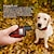 billiga Hundträning-hundträning chockhalsband fjärrstyrd justerbar ny design hund husdjur elektroniska beteendehjälpmedel för husdjur