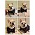 billiga Hundkläder-Hund Pyjamas Valpkläder Brittisk Ledigt vardag Vinter Hundkläder Valpkläder Hundkläder Svart Rosa Ljusblå Kostym för tikar och hundar Siden S M L XL XXL