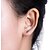 cheap Trendy Jewelry-Stud Earrings Climber Earrings For Women&#039;s Casual Daily Alloy Leaf Gold Silver