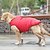 preiswerte Hundekleidung-Katze Hund Weste Solide Wandelbare Kleider warm halten Winter Hundekleidung Welpenkleidung Hunde-Outfits Rot Blau Rosa Kostüm für Mädchen und Jungen Hund Baumwolle XS S M L XL XXL