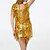 cheap Dancewear-Latin Dance Dress Tassel Paillette Women&#039;s Performance Sleeveless Terylene