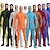 cheap Zentai Suits-Zentai Suits Skin Suit Full Body Suit Adults&#039; Spandex Lycra Cosplay Costumes Sex Men&#039;s Women&#039;s Solid Colored Halloween