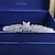 billige Bryllups Hovedstykke-Kvadratisk Zirconium Crown Tiaras med Bjergkrystal / Glimmer / Metal 1 stk Bryllup / Fødselsdag Medaljon