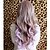cheap Synthetic Trendy Wigs-Synthetic Wig Curly Asymmetrical Wig Long Ombre Purple Synthetic Hair 27 inch Women&#039;s Best Quality Purple Ombre