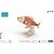 cheap 3D Puzzles-Fish 3D Puzzle Jigsaw Puzzle Wooden Puzzle Wooden Model DIY Wood Kid&#039;s Adults&#039; Toy Gift