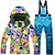 cheap Ski Wear-ARCTIC QUEEN Women&#039;s Ski Jacket with Pants Outdoor Winter Waterproof Windproof Warm Breathability Down Jacket for Skiing Ski / Snowboard / Cotton / Lightweight / Solid Colored