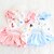 cheap Dog Clothes-Dog Shirt / T-Shirt Dress Cartoon Fruit Rabbit / Bunny Rabbit Casual / Sporty Cute Birthday Casual / Daily Dog Clothes Puppy Clothes Dog Outfits Breathable Blue Pink Costume for Girl and Boy Dog