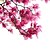 economico Adesivi murali decorativi-magnolia fiori modello pellicola per vetri opaca vinile rimovibile arredamento privato per la casa / adesivo per porte / adesivo per finestre 58x60 cm