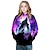 cheap Girls&#039; Hoodies &amp; Sweatshirts-Kids Girls&#039; Children&#039;s Day Hoodie &amp; Sweatshirt Long Sleeve Purple 3D Print Color Block 3D Animal Active Punk &amp; Gothic