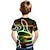Недорогие 3d футболки мальчика-Дети Мальчики День детей Футболка С короткими рукавами Зеленый Белый Цвет радуги 3D печать 3D-печати Контрастных цветов 3D Универсальные С принтом Классический На каждый день Уличный стиль Спорт 2-12