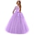 cheap Movie &amp; TV Theme Costumes-Princess Lace Prom Dress Flower Girl Dress 3-13 Years Kids Little Girls&#039; Floral Lace Party Wedding Evening Hollow Out Lace Tulle Maxi Short Sleeve Flower Gowns Wedding Guest