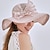 ieftine Pălării Party-Palarie Veșminte de cap Tul Imitație de Perle Clop Paie Căciulă Palarie de soare Nuntă În aer liber Cupa Melbourne Modă Stil Vintage Cu Funde Imitație de Perle Diadema Articole Pentru Cap