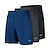billige Løbebukser-BERGRISAR Herre Løbeshorts Løbende shorts med strømpebukser 2 i 1 med liner Elastisk talje Shorts Atletisk Sommer Spandex Reflekterende Hurtigtørrende Fugtabsorberende Åndbart Sti Løb Løstsiddende