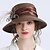Недорогие Шляпы для вечеринки-Старинный Мода Тюль / органза Головные уборы с Пух / Цветы / Отделка 1 PC Свадьба Заставка