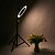 baratos Iluminação-Fotografia led self timer anel luz 16 cm metal regulável fotografia / telefone móvel anel luz com 110/160 cm tripé para maquiagem estúdio de vídeo