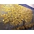 お買い得  花/植物画-インテリア雑貨 油絵 100％ 手作り 手描き 壁アート キャンバス 黄色 木 植物 水平 抽象 モダン 家の装飾 装飾 ロールキャンバス ストレッチフレーム