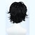 abordables Pelucas para disfraz-Peluca de disfraz de cosplay, peluca sintética de rizo suelto, peluca asimétrica, pelo sintético negro natural corto, peluca de halloween negra esponjosa de 10 pulgadas para hombres