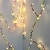 זול חוט נורות לד-2m חוטי תאורה 20 נוריות לבן חם חג האהבה חג הפסחא Party דקורטיבי חג סוללות AA