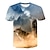 abordables t-shirts 3d pour garçon-Garçon 3D Animal Bloc de couleur T-shirt Manche Courte 3D effet Eté Vêtement de rue basique Polyester Enfants 3-12 ans Ecole Extérieur du quotidien