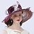voordelige Feesthoeden-Vintage-stijl Modieus Tule / Organza hoed / Hoofdkleding met Strik / Bloem / Versieringen 1 PC Bruiloft / Buiten Helm