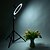 billiga Ringljus-26 cm ledde selfie-ringljus 24w 5500k studiofotografifotbelysningsljus med stativ för iphone-smink
