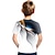 billige drenges 3d t-shirts-Drenge 3D Farveblok 3D Print T-shirt Kortærmet 3D-udskrivning Sommer Sport Gade Basale Polyester Rayon Børn 3-12 år udendørs Daglig
