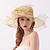 זול כובע מסיבות-כובעים ביגוד לראש טול אורגנזה כובע דלי כובע קש כובע שמש חתונה בָּחוּץ גביע מלבורן אופנתי סגנון וינטאג&#039; עם פפיון פרח כיסוי ראש כיסוי ראש