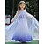 cheap Movie &amp; TV Theme Costumes-Princess Elsa Dress Flower Girl Dress Girls&#039; Movie Cosplay A-Line Slip Vacation Dress Halloween White Dress Christmas Halloween