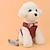 billiga Hundhalsband, selen och koppel-Katt Hund Selar Koppel Justerbara / Infällbar Cosplay Textil Nylon Purpur Röd Blå Rosa Ros