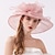 cheap Party Hats-Vintage Style Fashion Tulle / Organza Hats / Headwear with Bowknot / Flower / Trim 1 PC Wedding / Valentine&#039;s Day / Valentine Headpiece