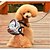 billige Hundehalsbånd og bånd-Hund Seler ryggsekk Justerbare / Uttrekkbar Tegneseriedesign Svamp Blå Lys Rosa