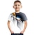 olcso fiú 3D-s pólók-Fiú 3D Színes 3D nyomtatás Póló Rövid ujjú 3D nyomtatás Nyár Sportok Utcai sikk Alap Poliészter Műselyem Gyerekek 3-12 év Szabadtéri Napi