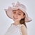 זול כובע מסיבות-כובעים ביגוד לראש טול דמוי פנינה כובע דלי כובע קש כובע שמש חתונה בָּחוּץ גביע מלבורן אופנתי סגנון וינטאג&#039; עם פפיון דמוי פנינה כיסוי ראש כיסוי ראש