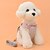 billiga Hundhalsband, selen och koppel-Katt Hund Selar Koppel Justerbara / Infällbar Cosplay Textil Nylon Purpur Röd Blå Rosa Ros