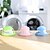 cheap Dog Grooming Supplies-Dog Cat Pets Cleaning Hair Removal Product PP YARN Dog Clean Supply Portable Durable Cute Pet Grooming Supplies Green Pink Blue 1 Piece