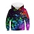 cheap Boy&#039;s 3D Hoodies&amp;Sweatshirts-Kids Boys&#039; Hoodie &amp; Sweatshirt Pullover Long Sleeve Black 3D Print Rainbow Graphic Optical Illusion Color Block With Pockets Active Basic 4-12 Years