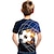 halpa poikien 3d t-paidat-Poikien 3D Väripalikka Jalkapallo T-paita Lyhythihainen 3D-tulostus Kesä Aktiivinen söpö tyyli Katutyyli Polyesteri Raion Lapset 3-12 vuotta Koulu ulko- Päivittäin