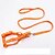 baratos Coleiras, Trelas e Peitorais para Cães-Cachorros Gatos Roupa Arreios Treinador Caminhada Cães e Gatos Geométrica Pegada / pata Husky Golden Retriever Dálmata