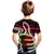 billiga pojkes 3d t-shirts-Barn Pojkar Barnens Dag T-shirt Kortärmad Grön Vit Regnbåge 3D-tryck 3D Print Färgblock 3D Unisex Mönster Grundläggande Ledigt Streetwear Sport 2-12 år / Sommar