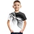 Недорогие 3d футболки мальчика-Мальчики 3D Контрастных цветов 3D-печати Футболка С короткими рукавами 3D печать Лето Спорт Уличный стиль Классический Полиэстер Искусственный шёлк Дети 3-12 лет на открытом воздухе Повседневные