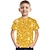 cheap Boy&#039;s 3D T-shirts-Kids Boys T shirt Short Sleeve 3D Print Rainbow Optical Illusion Color Block Blue Yellow Gold Children Tops  Basic Streetwear Sports