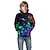 billige drenges 3d hættetrøjer og sweatshirts-Børn Drenge Hættetrøje og sweatshirt Pullover Langærmet Sort 3D-udskrivning Regnbue Grafisk 3D Print Farveblok Med lommer Aktiv Basale 4-12 år
