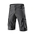 cheap Cycling Clothing-Nuckily Men&#039;s Bike Shorts Cycling MTB Shorts Bike Mountain Bike MTB Road Bike Cycling Shorts Pants Sports Black Gray Breathable Quick Dry Waterproof Zipper Lycra Clothing Apparel Relaxed Fit Advanced
