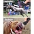 billiga Hundträning-ny ultraljudshund chaser aggressiv attack repeller tränare ledde ficklampa utbildning repeller kontroll anti bark skällande