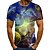 cheap Men&#039;s 3D Tee-Men&#039;s Unisex T shirt Tee Tee Graphic Galaxy Round Neck Green Blue Rainbow Red 3D Print Plus Size Daily Print Clothing Apparel / Summer / Short Sleeve / Summer / Short Sleeve