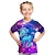 voordelige Tops-Voor meisjes 3D 3D T-shirt Korte mouw 3D-afdrukken Actief leuke Style Streetwear Polyester Kinderen
