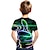 abordables niño 3d camisetas-Niños Chico Día del Niño Camiseta Manga Corta Verde Trébol Blanco Arco Iris Impresión 3D de impresión en 3D Bloque de color 3D Unisexo Estampado Básico Casual Ropa de calle Deportes 2-12 años