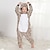 levne Kigurumi pyžama-Dětské Pyžamo Kigurumi Medvěd Leopard Overalová pyžama Fanila Kumaş Kostýmová hra Pro Chlapci a dívky Karneval Oblečení na spaní pro zvířata Karikatura